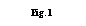 Casella di testo: Fig. 1